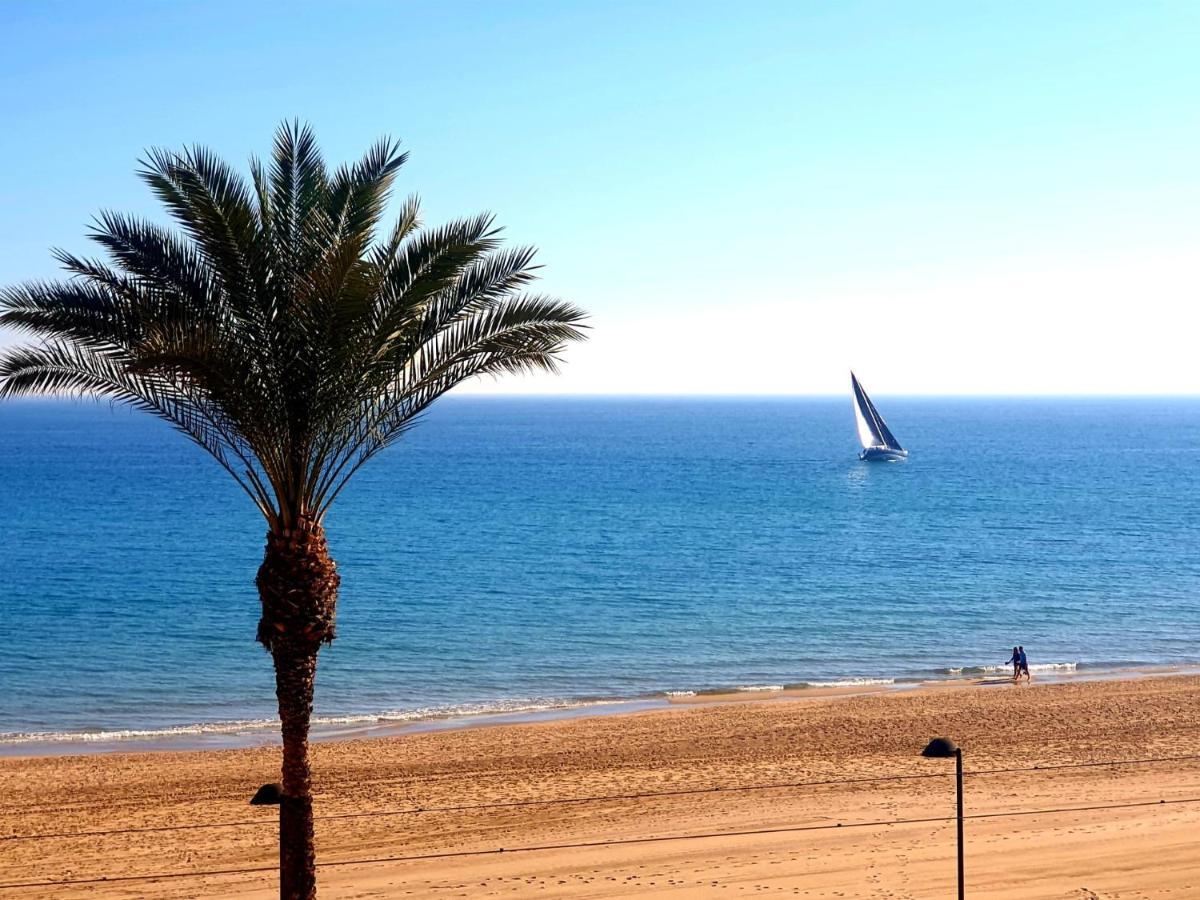 Jardin Playa San Juan Apartament Alacant